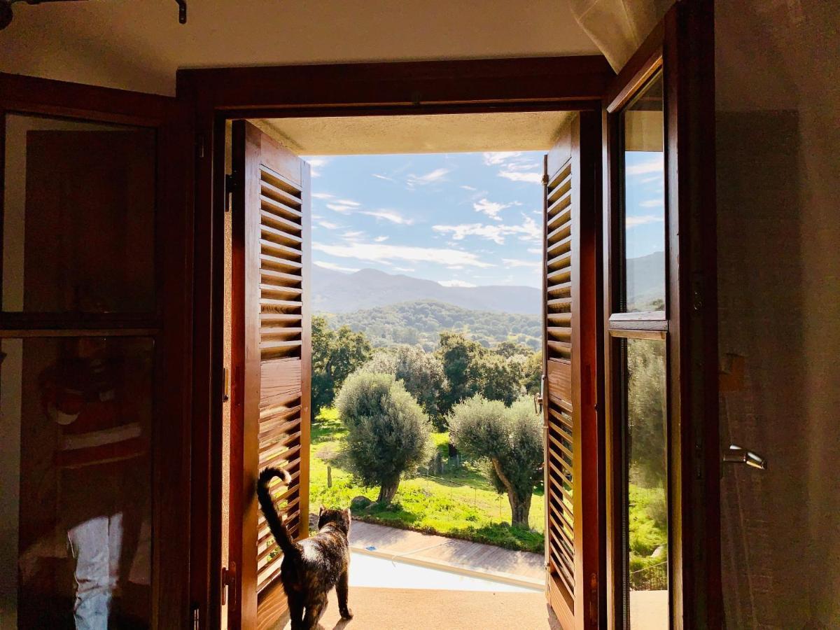 Villa Domaine de Tappa - Casa Filicina Sollacaro Esterno foto