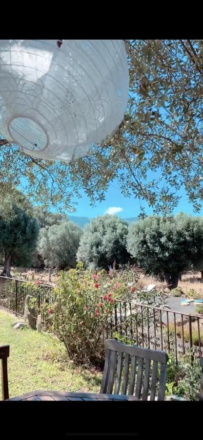 Villa Domaine de Tappa - Casa Filicina Sollacaro Esterno foto