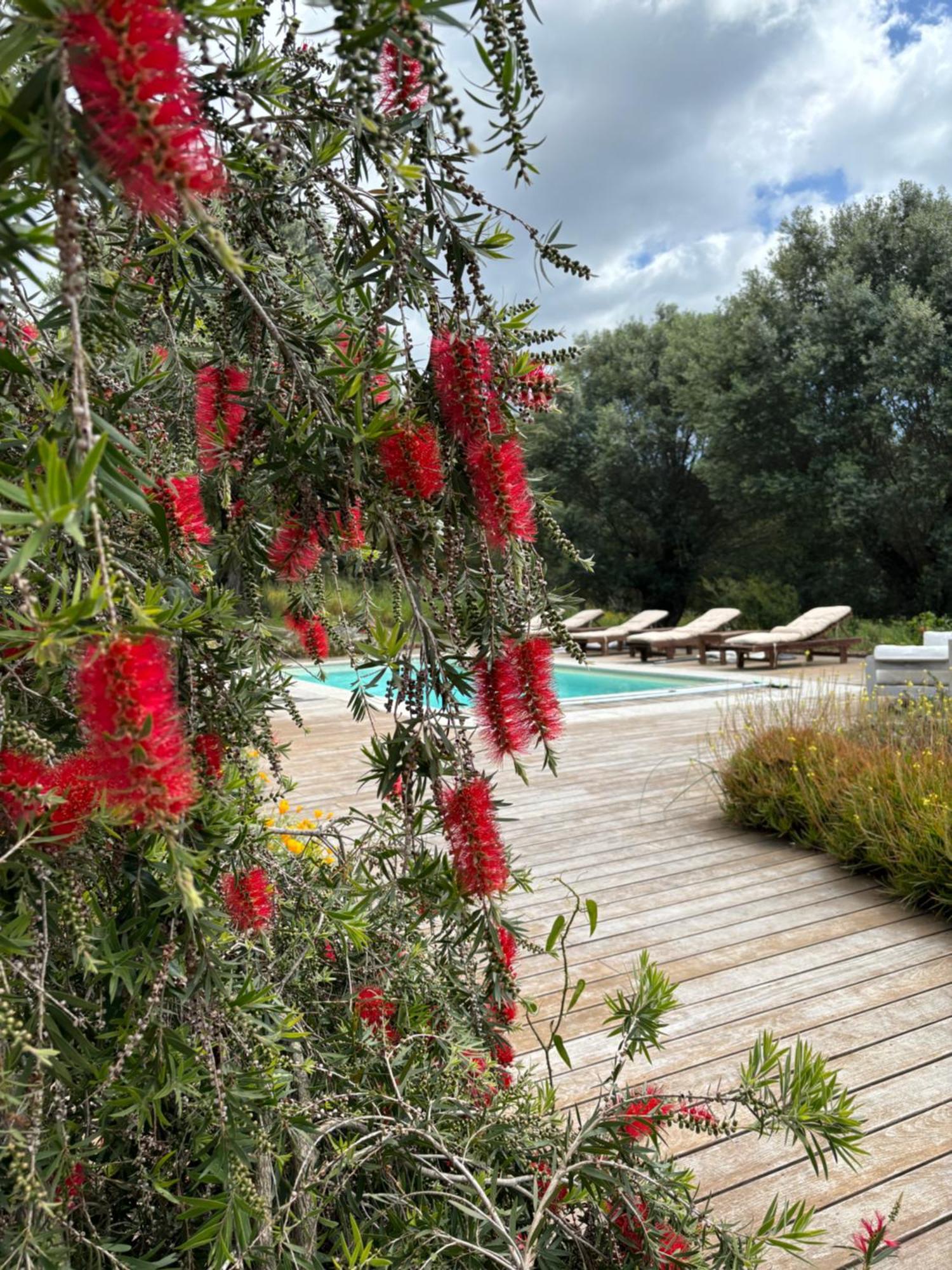 Villa Domaine de Tappa - Casa Filicina Sollacaro Esterno foto