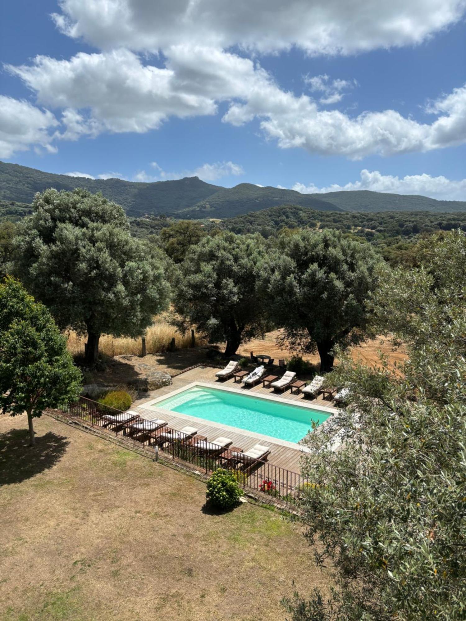 Villa Domaine de Tappa - Casa Filicina Sollacaro Esterno foto
