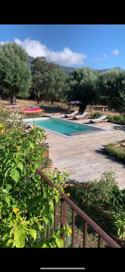 Villa Domaine de Tappa - Casa Filicina Sollacaro Esterno foto